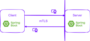 mTLS Client Authentication with Spring Boot